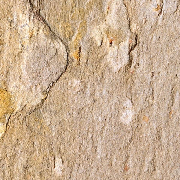 Textures   -   NATURE ELEMENTS   -   ROCKS  - Rock stone texture seamless 12650 - HR Full resolution preview demo