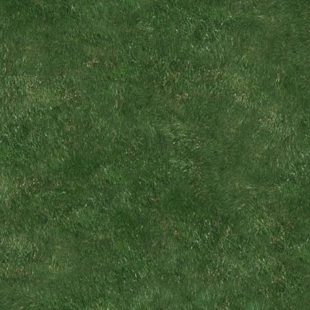 Textures   -   NATURE ELEMENTS   -   VEGETATION   -   Green grass  - Green grass texture seamless 12997 - HR Full resolution preview demo