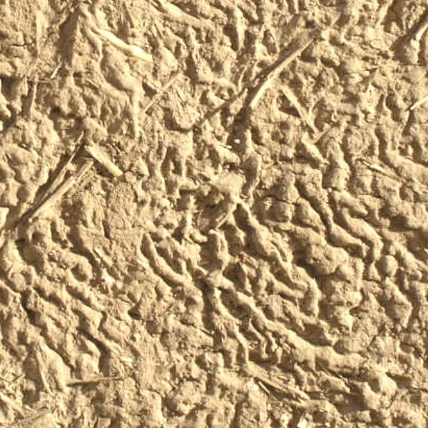 Textures   -   NATURE ELEMENTS   -   SOIL   -   Mud  - Mud wall texture seamless 12903 - HR Full resolution preview demo