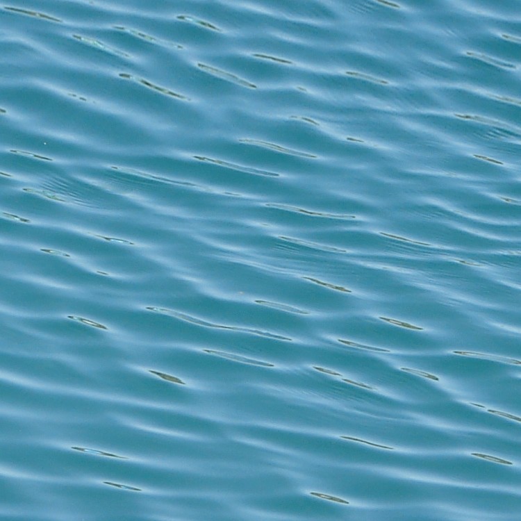 Textures   -   NATURE ELEMENTS   -   WATER   -   Sea Water  - Sea water texture seamless 13250 - HR Full resolution preview demo