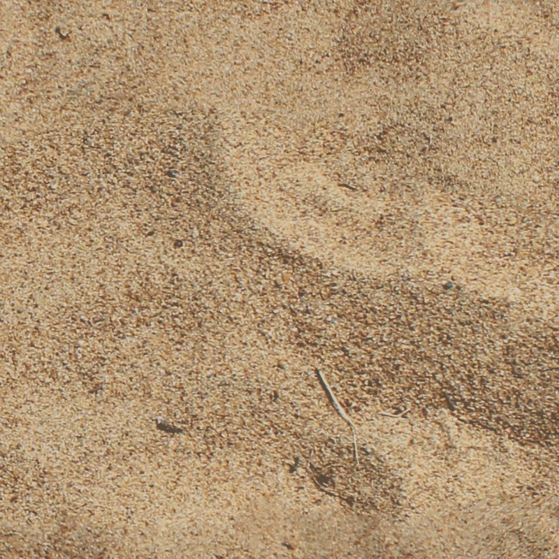 Textures   -   NATURE ELEMENTS   -   SAND  - Beach sand texture seamless 12731 - HR Full resolution preview demo