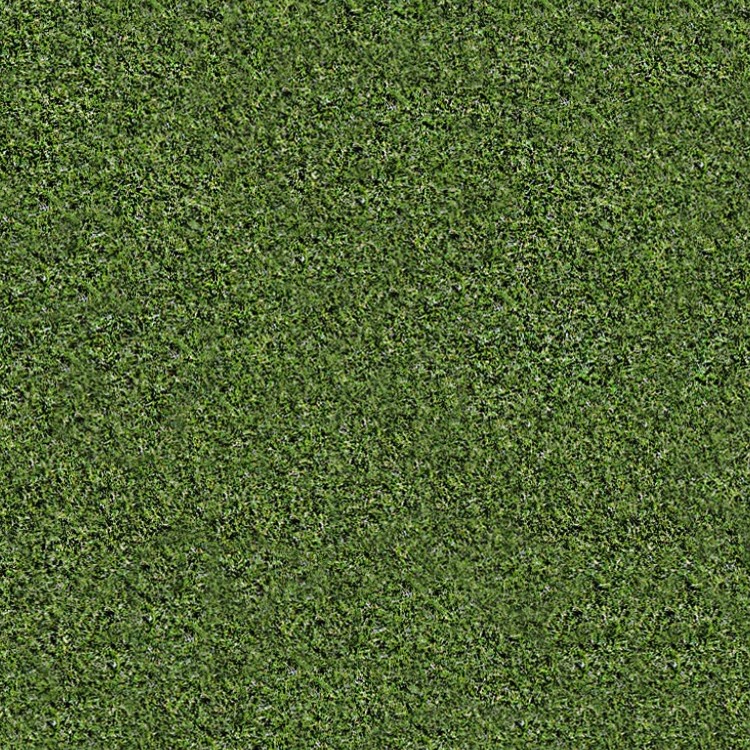 Green grass texture seamless 12998