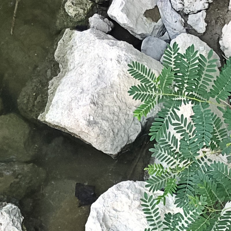 Textures   -   NATURE ELEMENTS   -   WATER   -   Streams  - Water stream whit stones texture 17389 - HR Full resolution preview demo