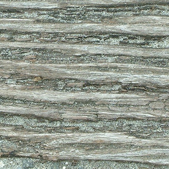 Textures   -   NATURE ELEMENTS   -   BARK  - Bark texture seamless 12341 - HR Full resolution preview demo