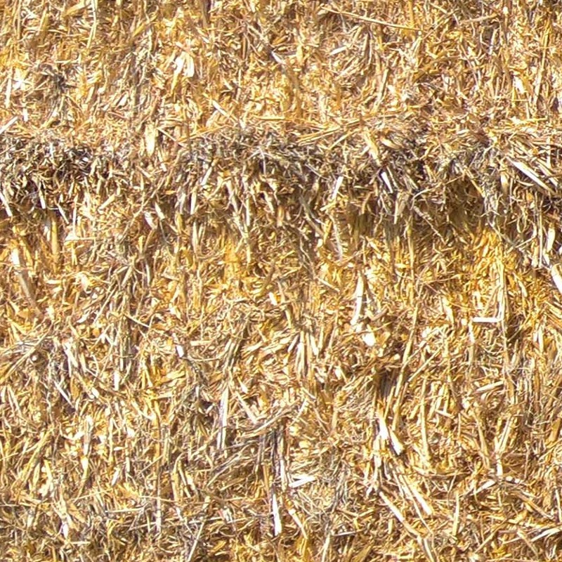Textures   -   NATURE ELEMENTS   -   VEGETATION   -   Dry grass  - Hay texture seamless 20746 - HR Full resolution preview demo