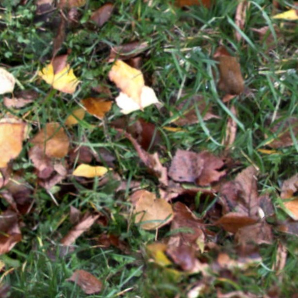 Textures   -   NATURE ELEMENTS   -   VEGETATION   -   Leaves dead  - Leaves dead texture seamless 13150 - HR Full resolution preview demo