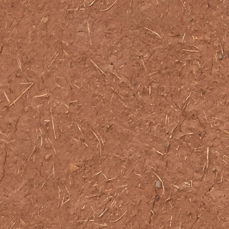 Textures   -   NATURE ELEMENTS   -   SOIL   -   Mud  - Mud wall texture seamless 12906 - HR Full resolution preview demo