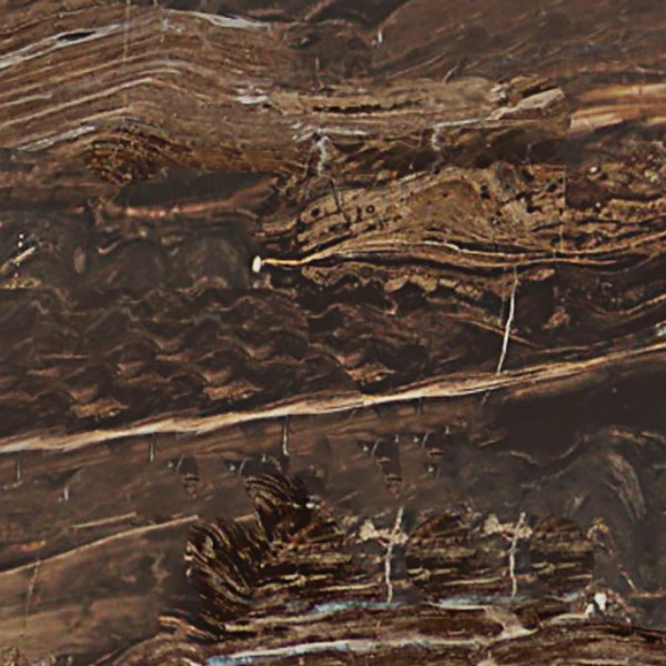 Textures   -   ARCHITECTURE   -   MARBLE SLABS   -   Brown  - Slab marble frappuccino texture seamless 02002 - HR Full resolution preview demo