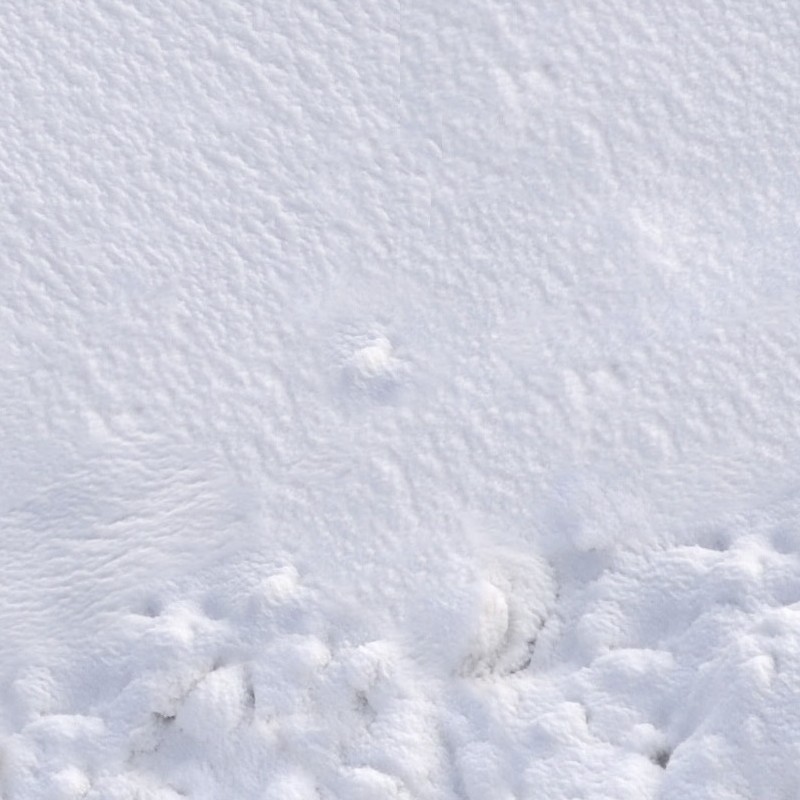 Textures   -   NATURE ELEMENTS   -   SNOW  - Snow texture seamless 12801 - HR Full resolution preview demo