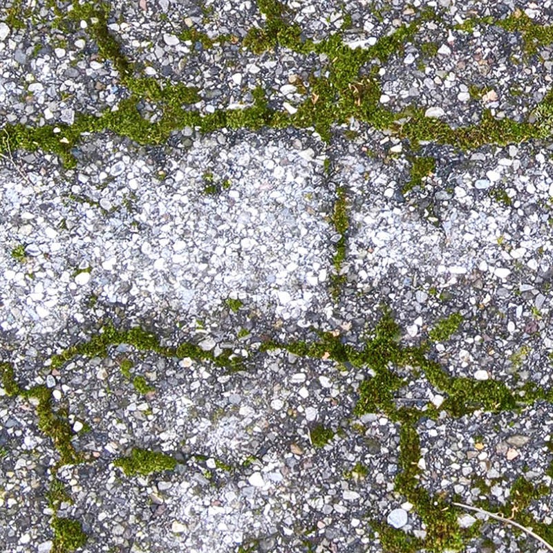 Textures   -   ARCHITECTURE   -   ROADS   -   Asphalt damaged  - Damaged asphalt with moss texture seamless 18660 - HR Full resolution preview demo