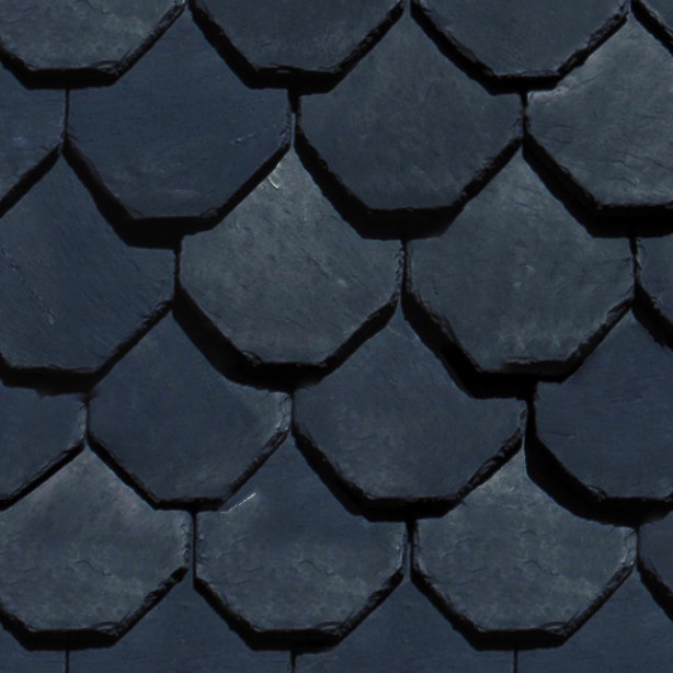 Slate Roofing Texture Seamless 03930