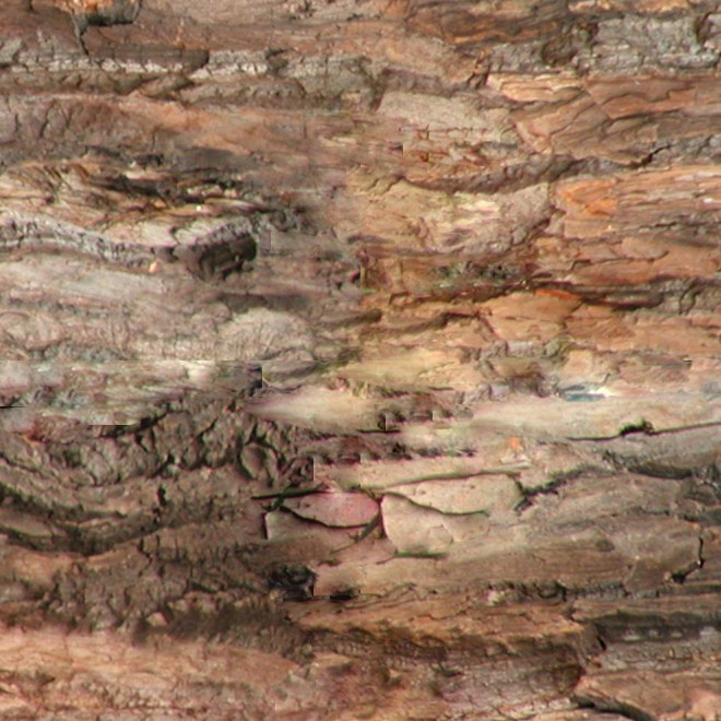 Textures   -   NATURE ELEMENTS   -   BARK  - Bark texture seamless 12343 - HR Full resolution preview demo