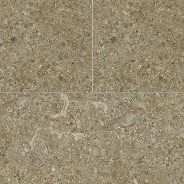 Textures   -   ARCHITECTURE   -   TILES INTERIOR   -   Marble tiles   -   Green  - Fossil green marble floor tile texture seamless 19142 - HR Full resolution preview demo