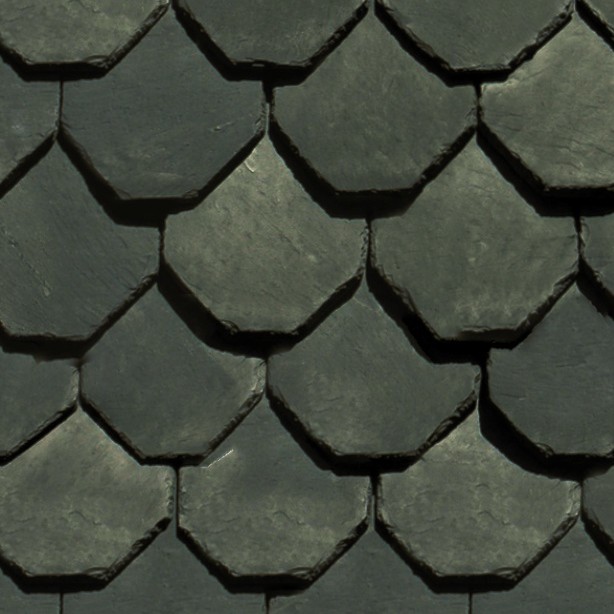 Textures   -   ARCHITECTURE   -   ROOFINGS   -   Slate roofs  - Slate roofing texture seamless 03931 - HR Full resolution preview demo