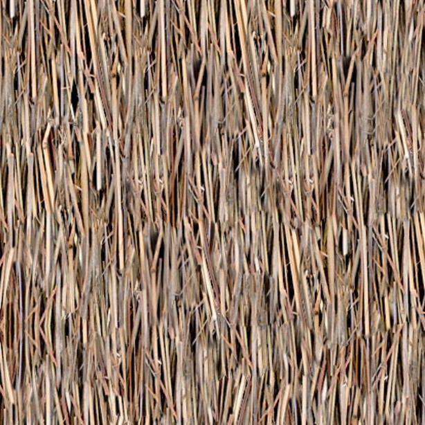 Textures   -   ARCHITECTURE   -   ROOFINGS   -   Thatched roofs  - Thatched roof texture seamless 04073 - HR Full resolution preview demo