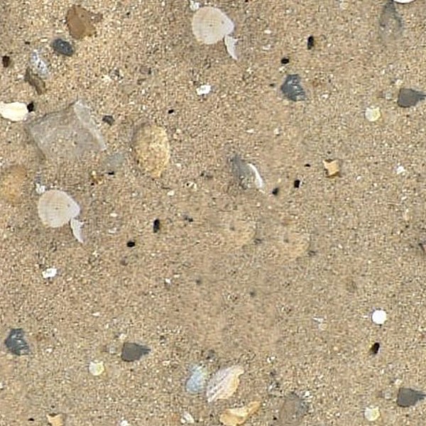 Textures   -   NATURE ELEMENTS   -   SAND  - Beach sand texture seamless 12737 - HR Full resolution preview demo