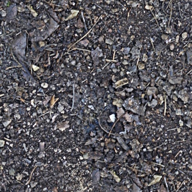 Textures   -   NATURE ELEMENTS   -   SOIL   -   Ground  - Ground texture seamless 12849 - HR Full resolution preview demo