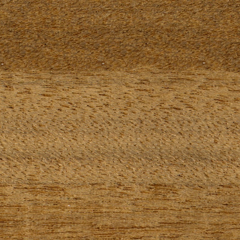 Textures   -   ARCHITECTURE   -   WOOD   -   Fine wood   -   Medium wood  - Afromosia wood fine medium color texture seamless 04439 - HR Full resolution preview demo