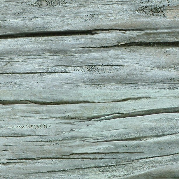 Textures   -   NATURE ELEMENTS   -   BARK  - Bark texture seamless 12348 - HR Full resolution preview demo