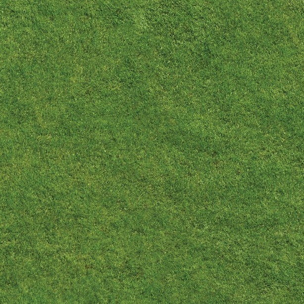 Textures   -   NATURE ELEMENTS   -   VEGETATION   -   Green grass  - Green grass texture seamless 13007 - HR Full resolution preview demo