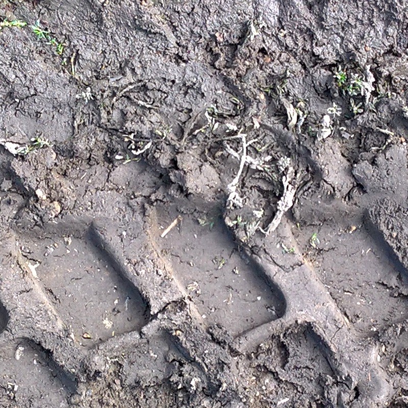 Textures   -   NATURE ELEMENTS   -   SOIL   -   Mud  - Muddy ground with tire marks texture 17904 - HR Full resolution preview demo