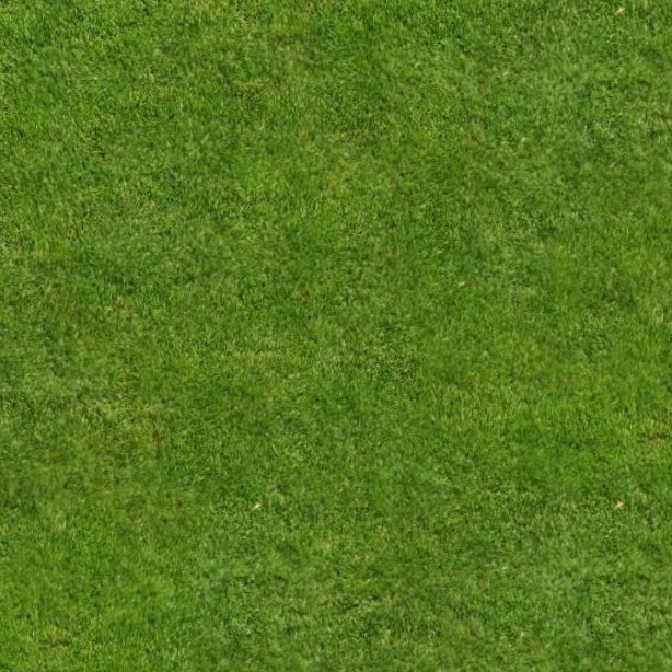 Textures   -   NATURE ELEMENTS   -   VEGETATION   -   Green grass  - Green grass texture seamless 13008 - HR Full resolution preview demo