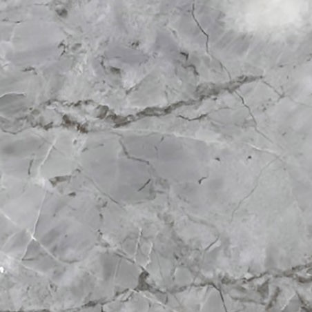 Textures   -   ARCHITECTURE   -   MARBLE SLABS   -   Grey  - Slab marble carnico grey texture 02341 - HR Full resolution preview demo