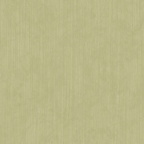 Textures   -   MATERIALS   -   WALLPAPER   -   Parato Italy   -   Elegance  - The branch uni elegance wallpaper by parato texture seamless 11370 - HR Full resolution preview demo
