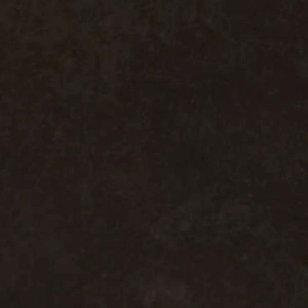 Dark Bronze Texture