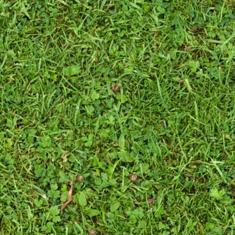 Textures   -   NATURE ELEMENTS   -   VEGETATION   -   Green grass  - Green grass texture seamless 13009 - HR Full resolution preview demo