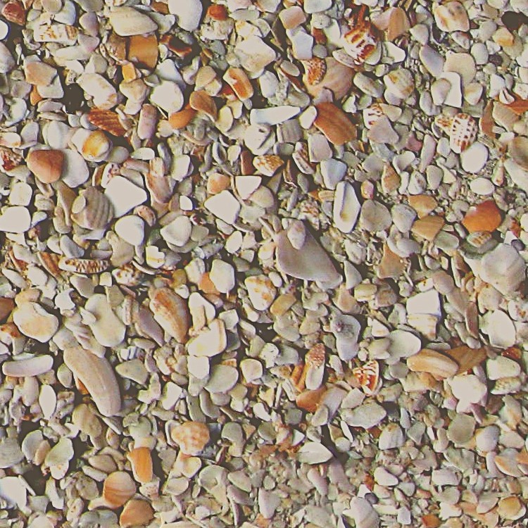 Textures   -   NATURE ELEMENTS   -   SAND  - Beach sand texture seamless 12745 - HR Full resolution preview demo