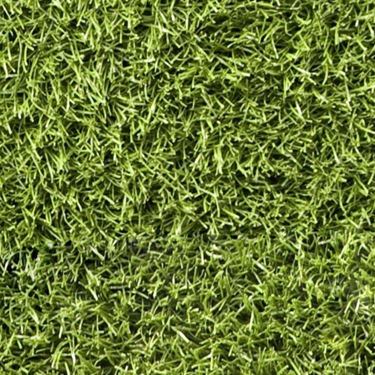Textures   -   NATURE ELEMENTS   -   VEGETATION   -   Green grass  - Green grass texture seamless 13012 - HR Full resolution preview demo