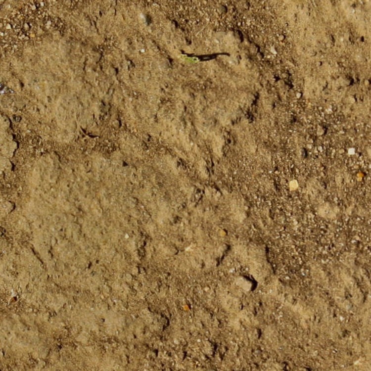 Textures   -   NATURE ELEMENTS   -   SOIL   -   Ground  - Ground texture seamless 12856 - HR Full resolution preview demo