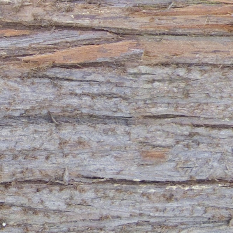 Textures   -   NATURE ELEMENTS   -   BARK  - Bark texture seamless 12354 - HR Full resolution preview demo