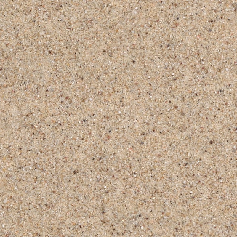 Textures   -   NATURE ELEMENTS   -   SAND  - Beach sand texture seamless 12746 - HR Full resolution preview demo