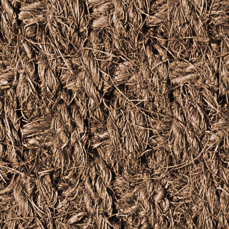 Textures   -   MATERIALS   -   CARPETING   -   Brown tones  - Brown carpeting texture seamless 16573 - HR Full resolution preview demo