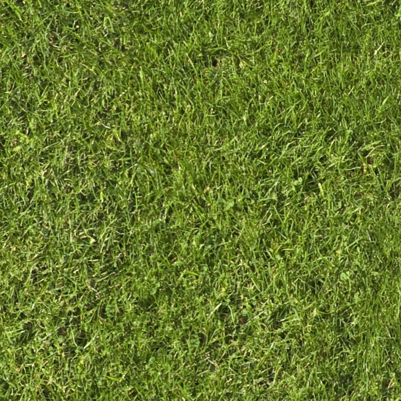 Textures   -   NATURE ELEMENTS   -   VEGETATION   -   Green grass  - Green grass texture seamless 13013 - HR Full resolution preview demo