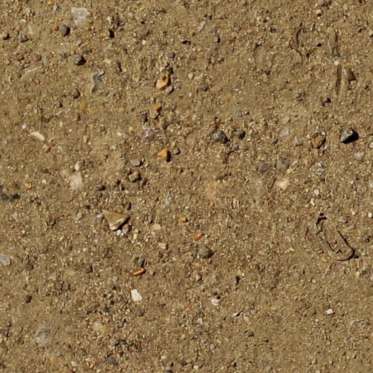 Textures   -   NATURE ELEMENTS   -   SOIL   -   Ground  - Ground texture seamless 12857 - HR Full resolution preview demo