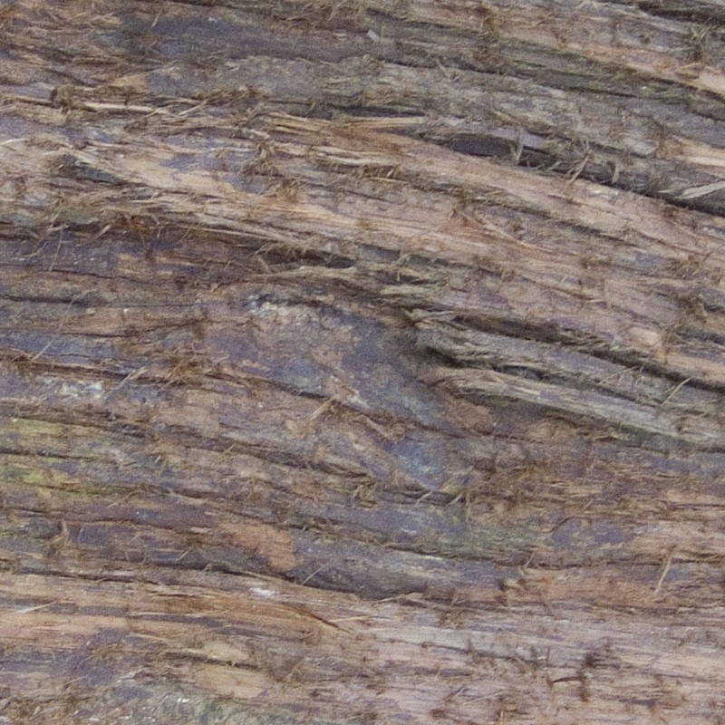 Textures   -   NATURE ELEMENTS   -   BARK  - Bark texture seamless 12355 - HR Full resolution preview demo