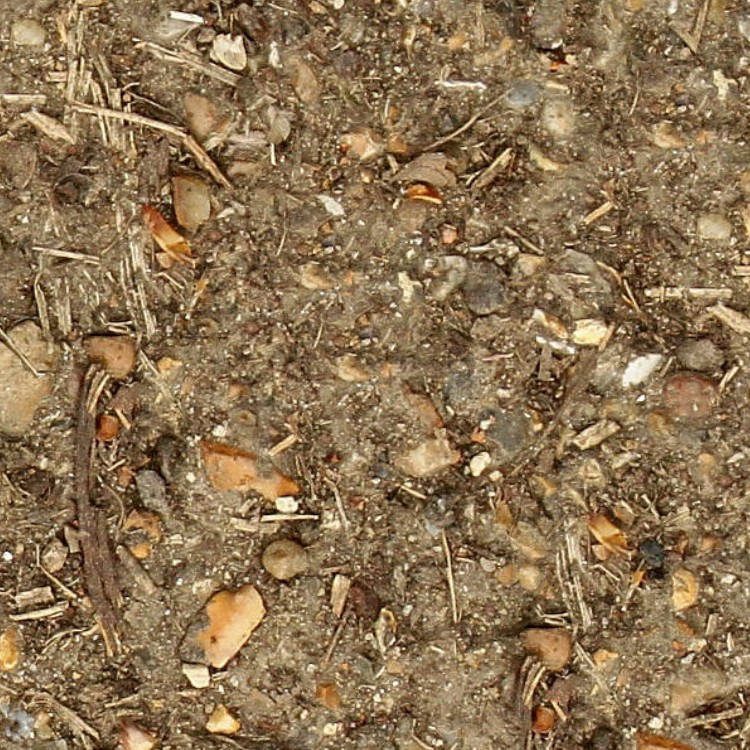 Textures   -   NATURE ELEMENTS   -   SOIL   -   Ground  - Ground texture seamless 12858 - HR Full resolution preview demo