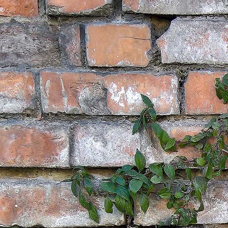 Textures   -   ARCHITECTURE   -   BRICKS   -   Damaged bricks  - Old damaged wall bricks with grass texture seamless 20198 - HR Full resolution preview demo