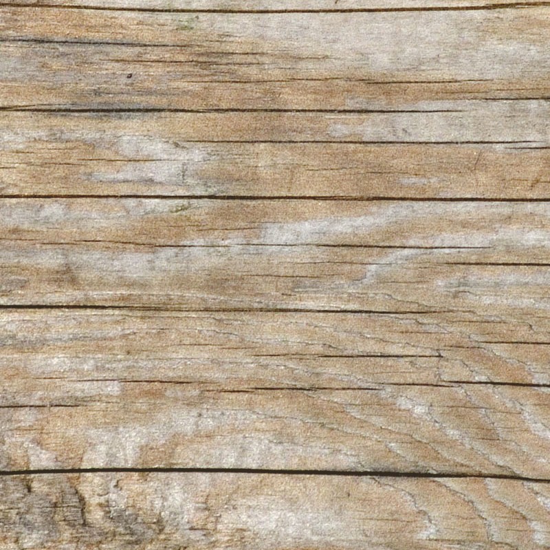Textures   -   NATURE ELEMENTS   -   BARK  - Bark texture seamless 12356 - HR Full resolution preview demo