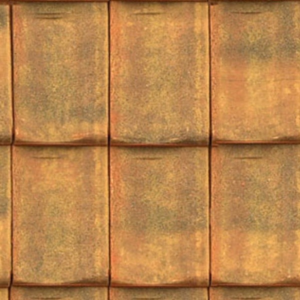 Textures   -   ARCHITECTURE   -   ROOFINGS   -   Clay roofs  - Clay roofing Santenay texture seamless 03389 - HR Full resolution preview demo