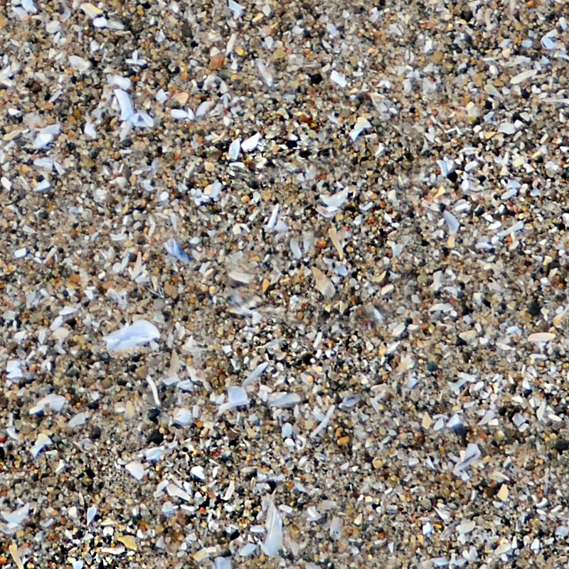 Textures   -   NATURE ELEMENTS   -   SAND  - Beach sand texture seamless 12749 - HR Full resolution preview demo