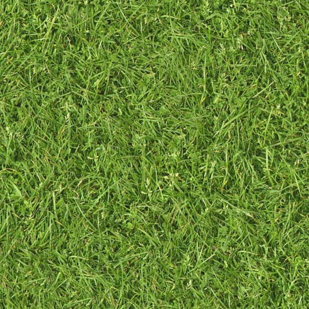 Textures   -   NATURE ELEMENTS   -   VEGETATION   -   Green grass  - Green grass texture seamless 13016 - HR Full resolution preview demo