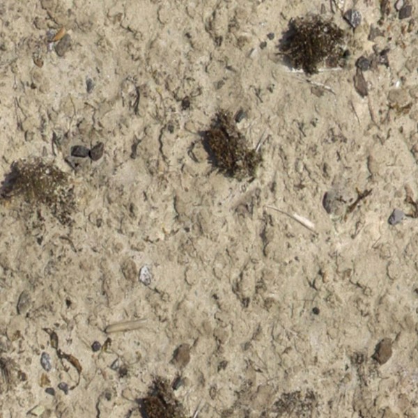 Textures   -   NATURE ELEMENTS   -   SOIL   -   Ground  - Ground texture seamless 12861 - HR Full resolution preview demo