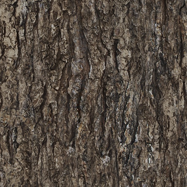Textures   -   NATURE ELEMENTS   -   BARK  - Bark texture seamless 12359 - HR Full resolution preview demo