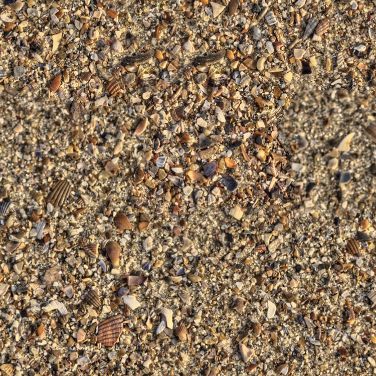 Textures   -   NATURE ELEMENTS   -   SAND  - Beach sand texture seamless 12751 - HR Full resolution preview demo