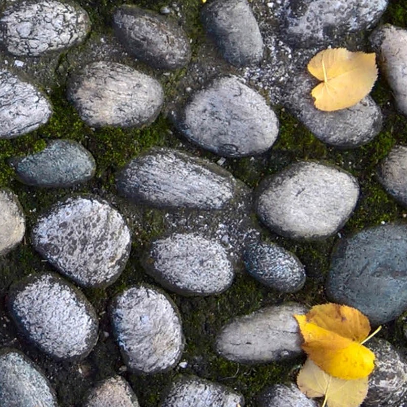 Textures   -   ARCHITECTURE   -   ROADS   -   Paving streets   -   Rounded cobble  - Rounded cobblestone with dead leaves texture seamless 18791 - HR Full resolution preview demo