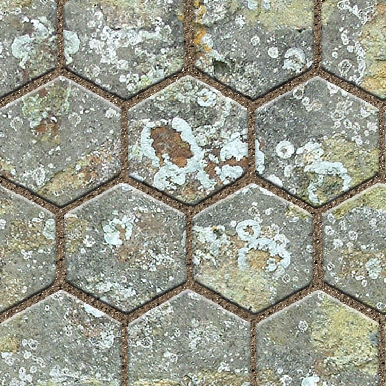 Textures   -   ARCHITECTURE   -   PAVING OUTDOOR   -   Hexagonal  - Dirty stone paving outdoor hexagonal texture seamless 06037 - HR Full resolution preview demo